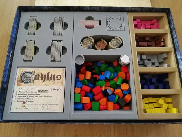 Caylus storage box