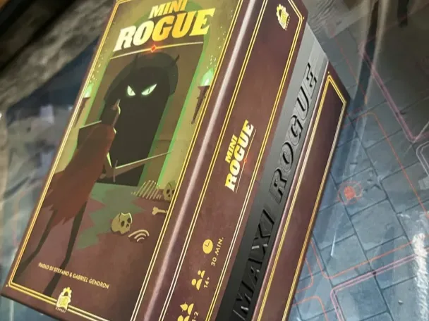 Insert Mini Rogue