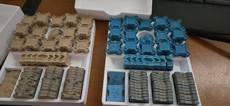 Rebirth Game Organizer with lid