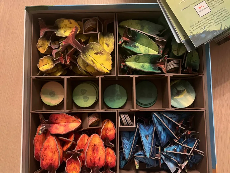 Photosynthesis Boardgame insert