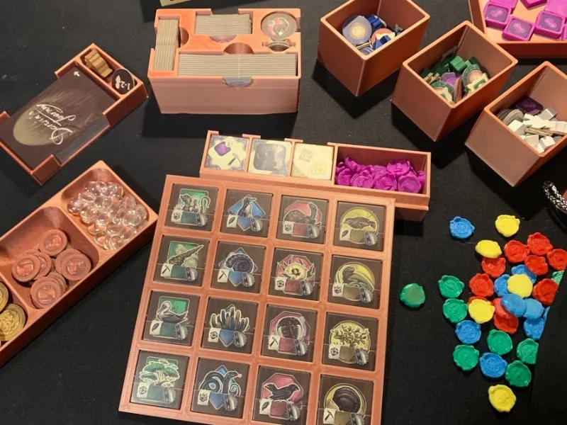 Darwin's Journey Base Board Game Insert