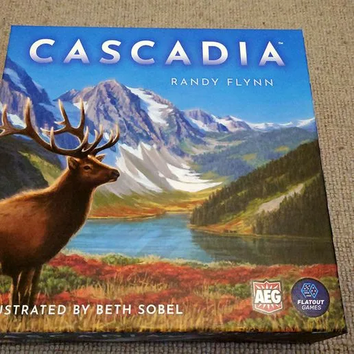 Cascadia - Insert for the cardboard insert