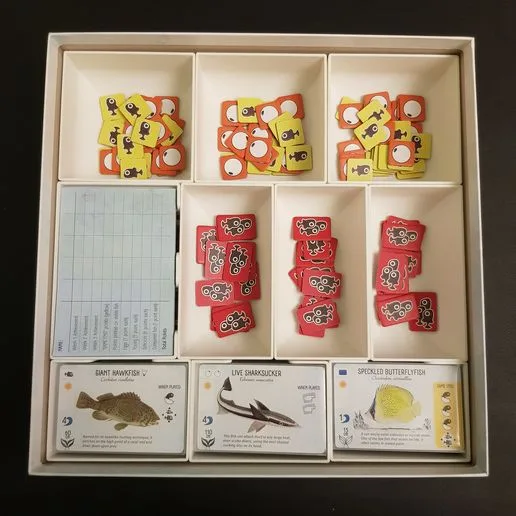 Finspan Insert/Organizer