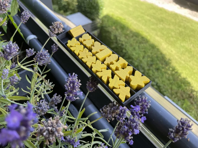 A carcassonne meeple organizer (with all extensions)