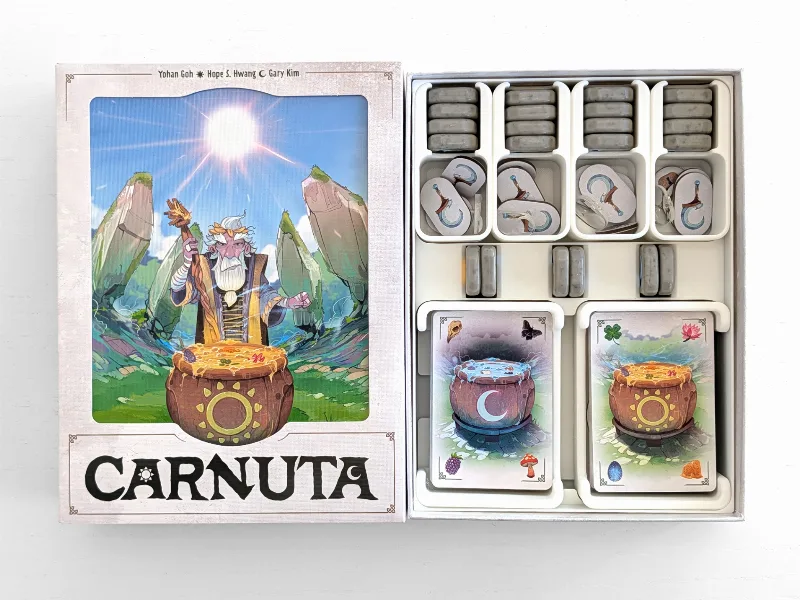 Carnuta - Organizer Insert