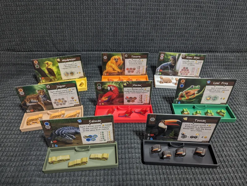 Life of the Amazonia | Animal trays/card stands