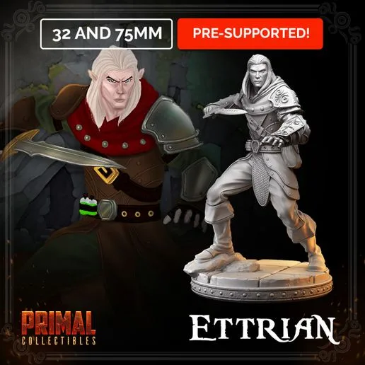 Elf - Ettrian (HeroQuest | Dungeons&Dragons)