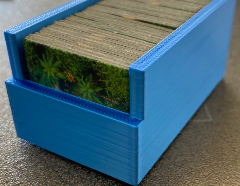 Karuba Card Holder/Organizer