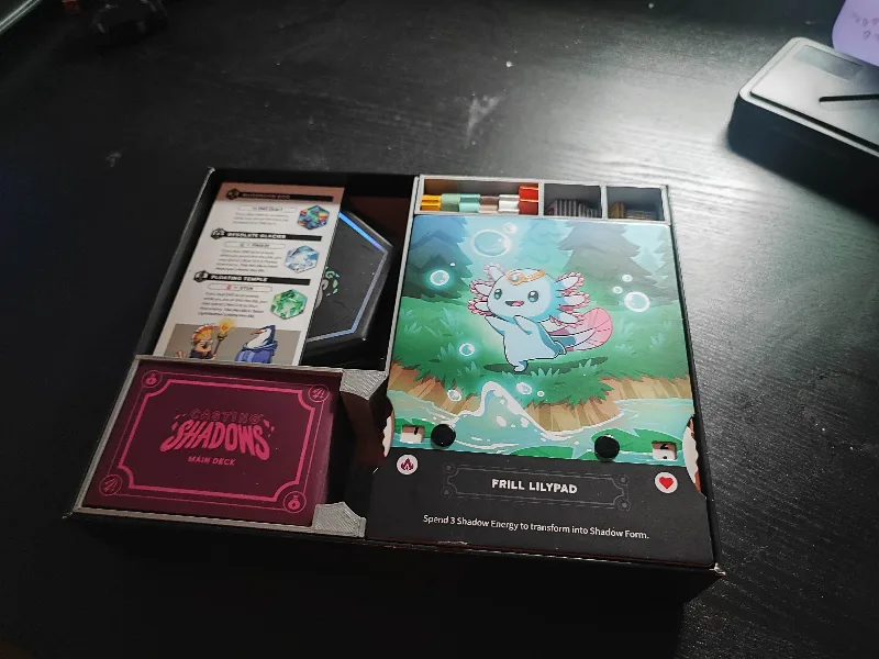 Casting Shadows Box