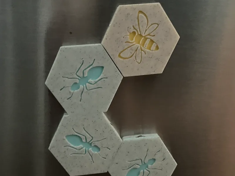Magnetic Hive Game