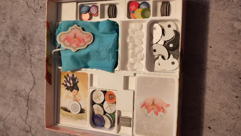 Chakra insert and organiser