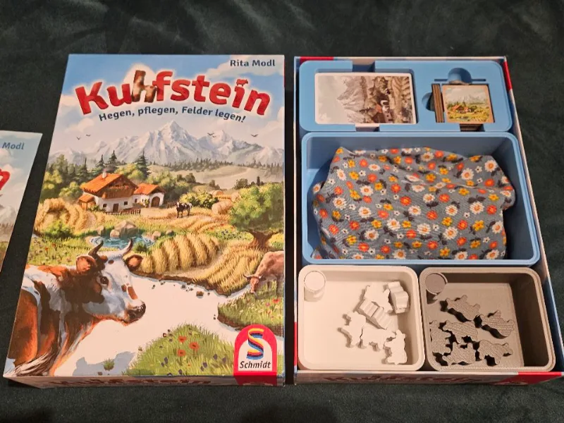 Insert for Kuhfstein by Schmidt Spiele