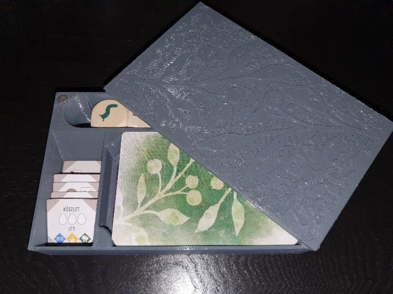 Magnetic wingspan box for accessories