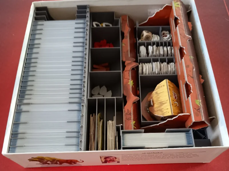 Paleo Insert with its extensions
