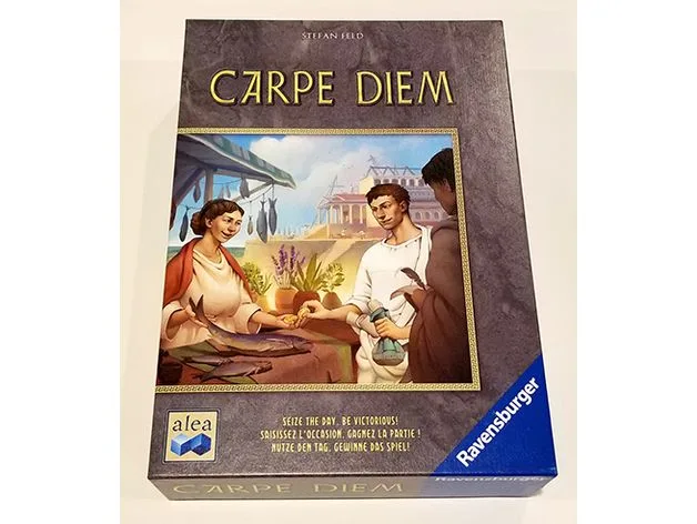 Carpe Diem Insert/Organizer