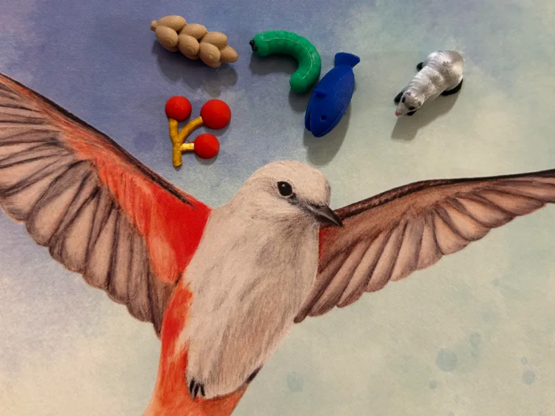Wingspan Food Tokens (Base Game)