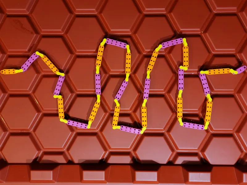 Cribbage Snake