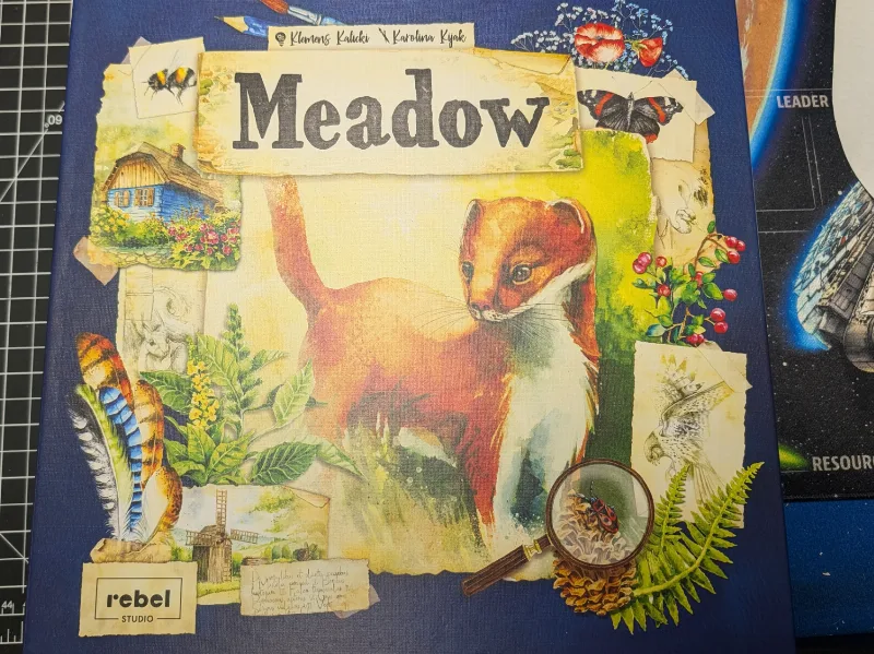 Meadow Insert (Including Downstream Expansion)