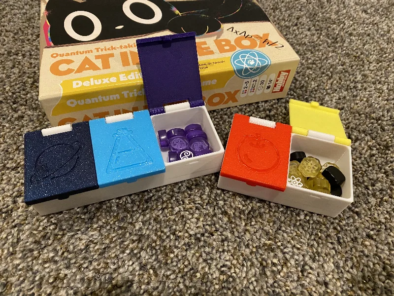 Cat in the Box Organizer