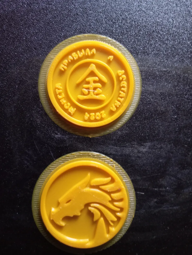 A coin for good luck in the year of the dragon 2024