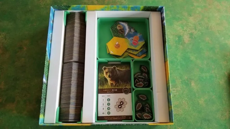 Cascadia - Insert for the cardboard insert Remix