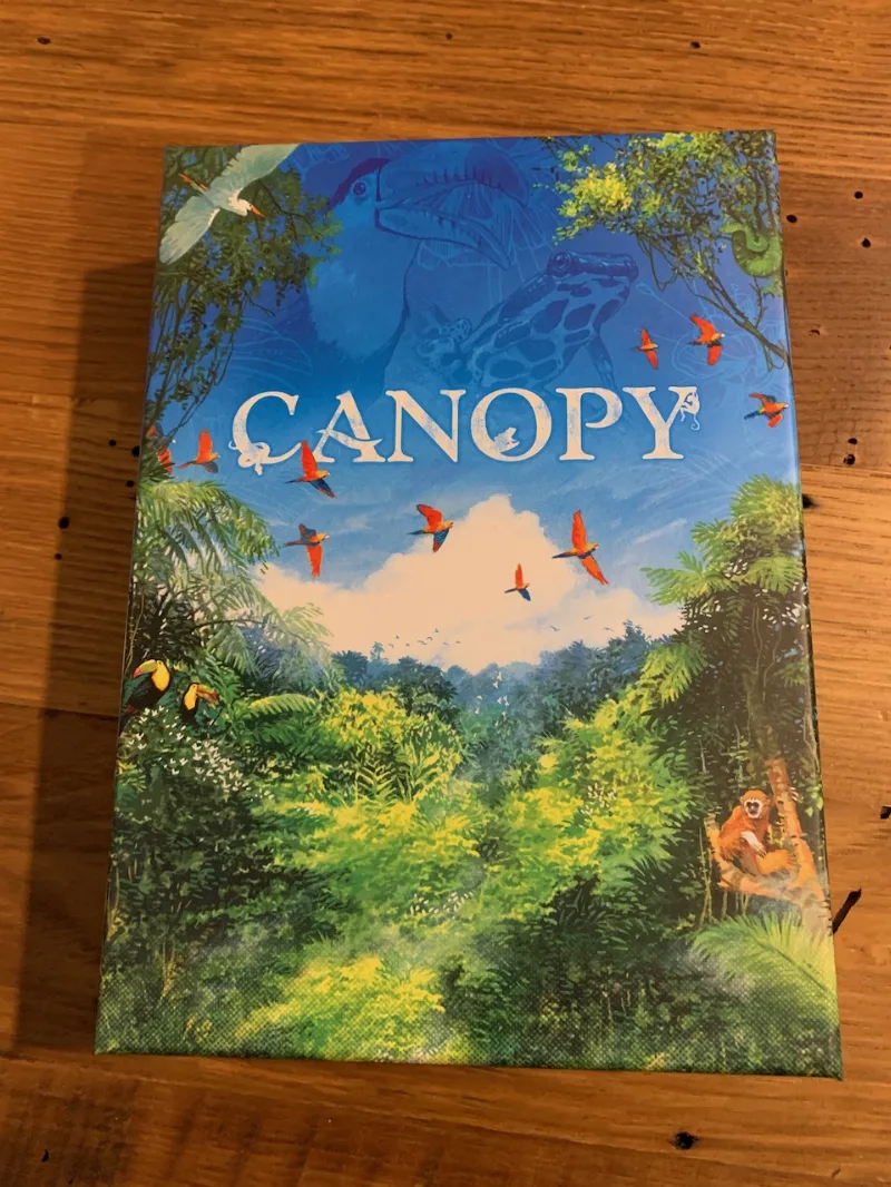 Canopy (Deluxe Version) Organizer