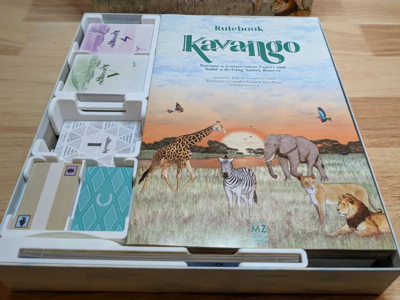 Kavango Box Organizer