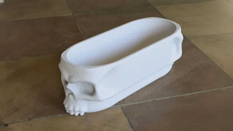 Skull Storage Tray with Lid