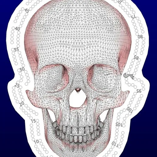 skull head cribbage board