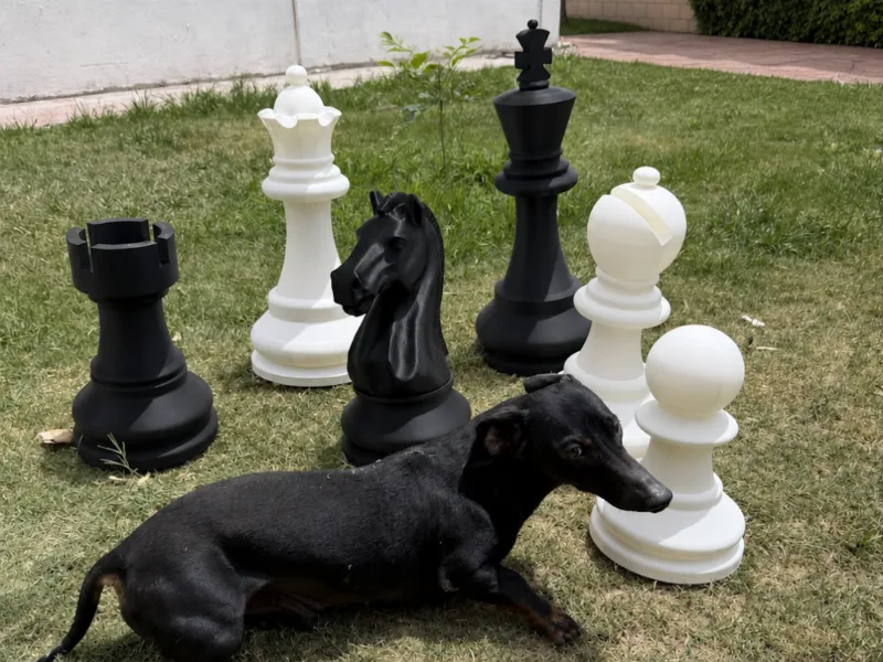 Giant Chess Set