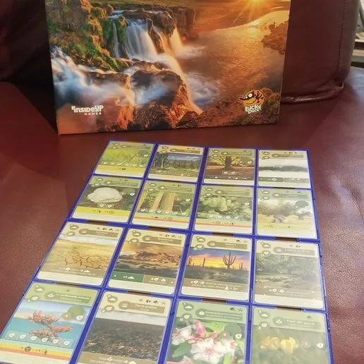 Card grid layout for earth tableau building game