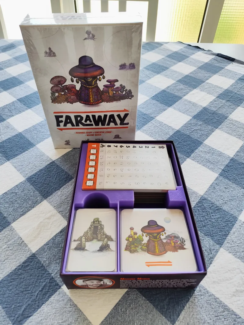Faraway INSERT