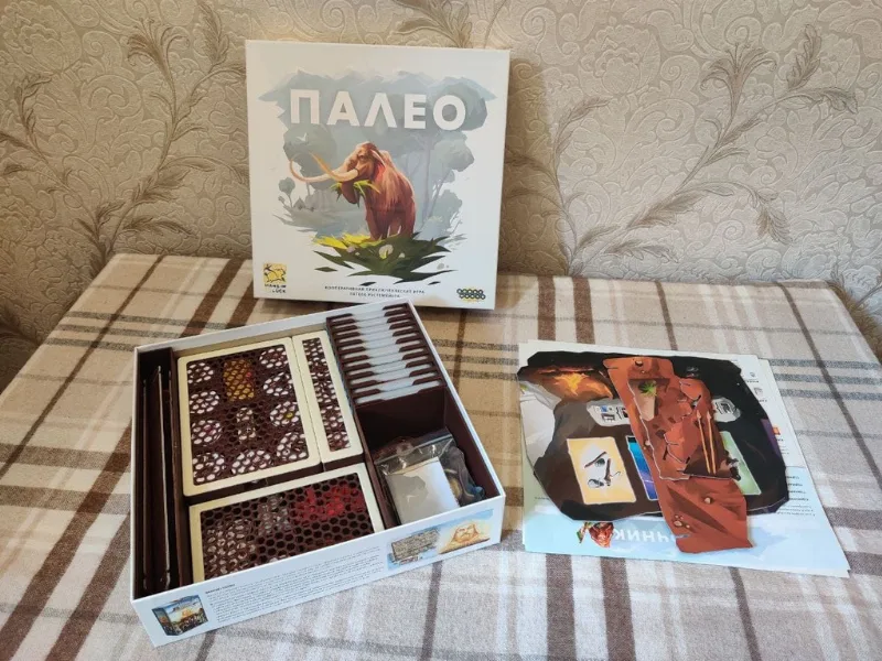 Paleo board game Organizer