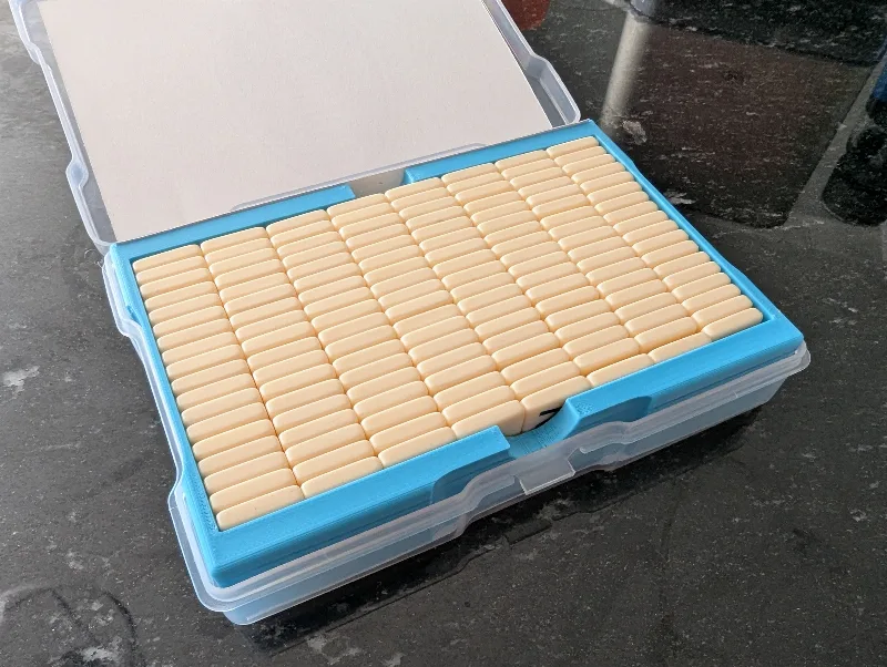 Bananagrams Photo Caddy Insert