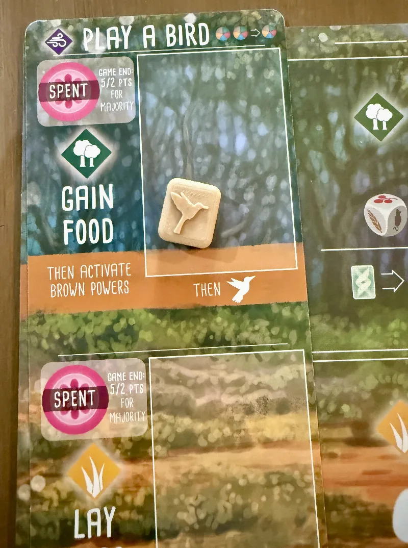 Wingspan Hummingbird Board Clips