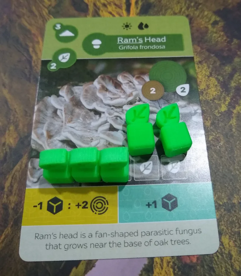 Earth Board Game Bits - Sprout Cube